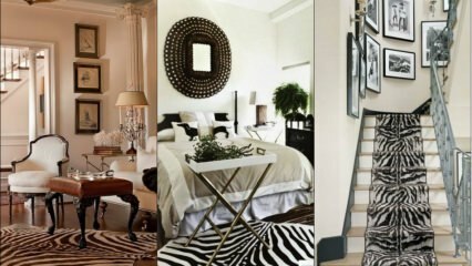 Moda zebră în decorarea casei