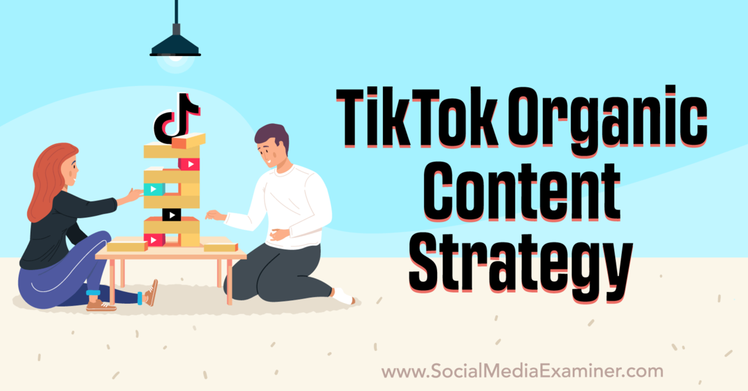 TikTok Organic Content Strategy-Examinator de rețele sociale