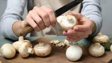 Cum se curăță ciupercile? Cum să preveniți întunecarea ciupercilor, care sunt sfaturile
