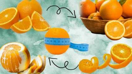Câte calorii sunt într-o portocală? Câte grame are 1 portocală medie? Consumul de portocale te face să te îngrași?