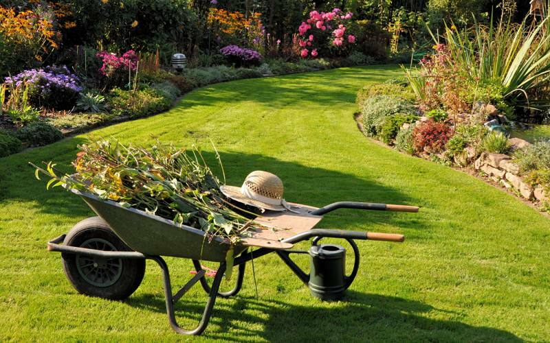 Cum se face curățenia grădinii? Sugestii pentru curățarea grădinii și comandă!