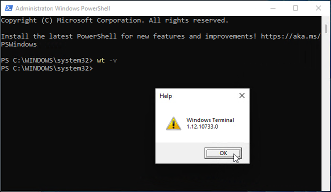 versiunea terminalului Windows