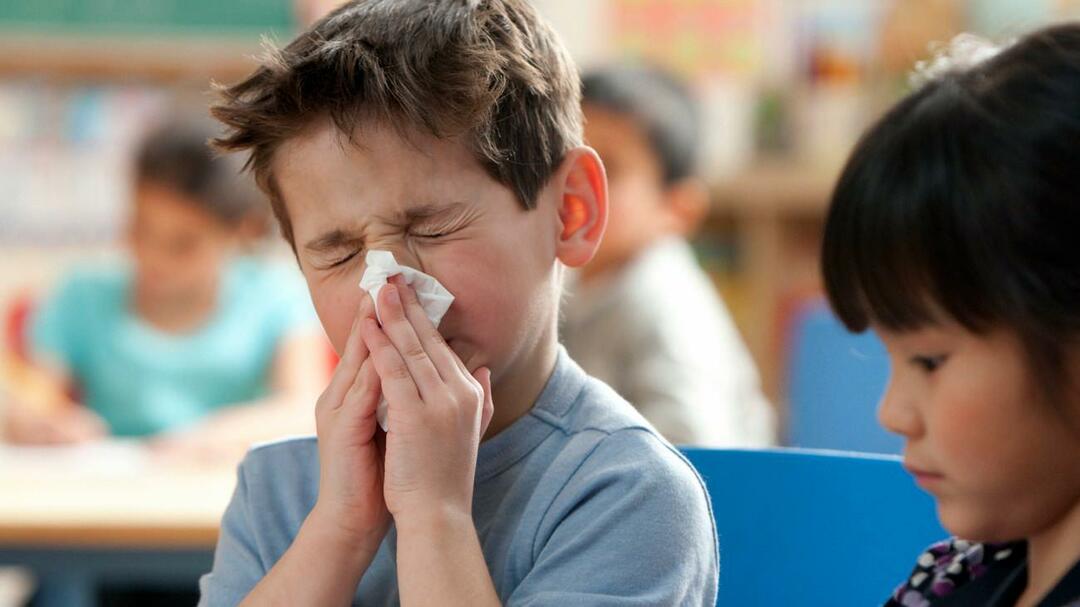 gripa sezoniera