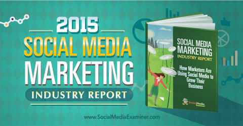 Raport de marketing social media 2015