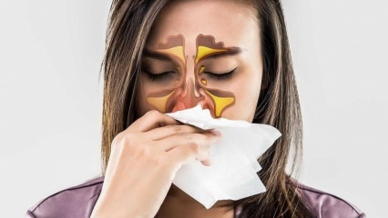 Ce este o alergie? Care sunt simptomele rinitei alergice? Câte tipuri de alergii există? 