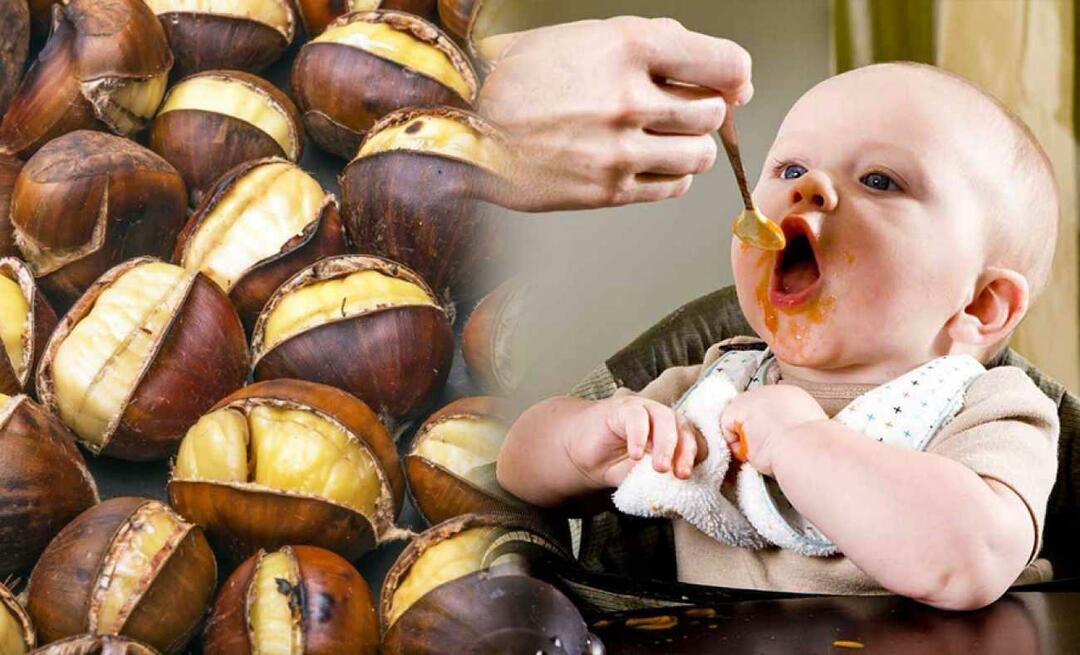 Pot bebelușii să mănânce castane? Cum se face budinca de castane?