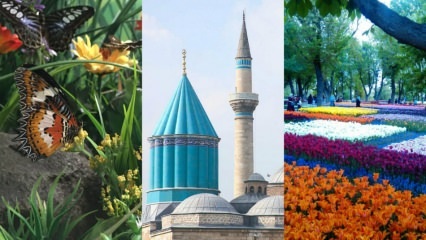Ghid turistic în Konya