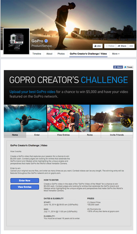 pagina de destinație a concursului gopro
