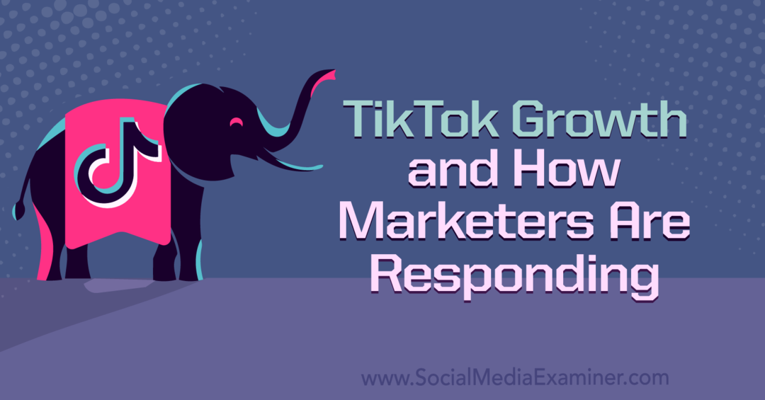 Creșterea TikTok și cum răspund marketerii: examinator de rețele sociale