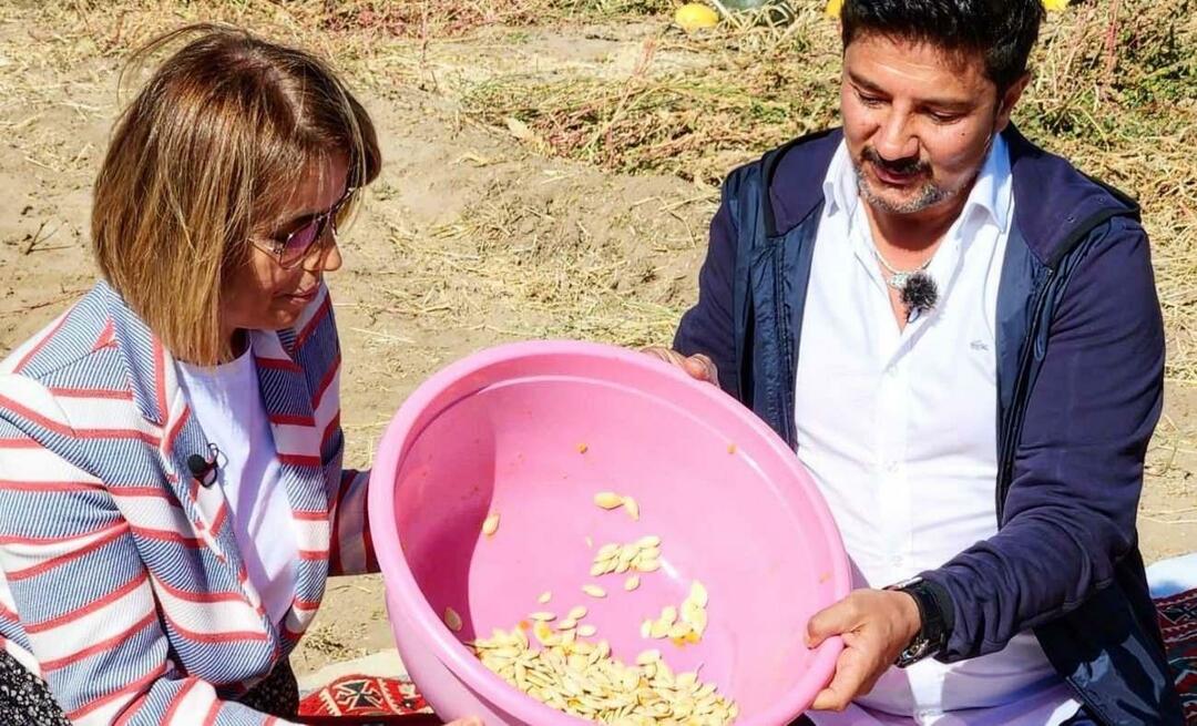 Semințele de dovleac pentru gustări au fost recoltate la Nevşehir!