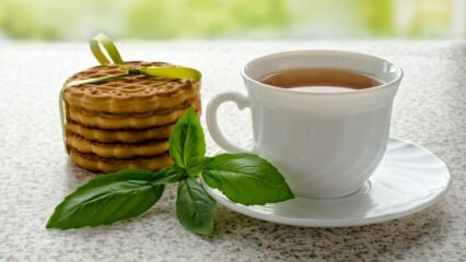 Care sunt avantajele busuiocului? Cum se prepară ceaiul de busuioc?
