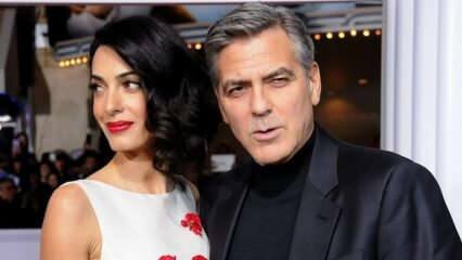 Cuplul de vis George Clooney și Clooney Alamuddin divorțează!