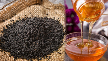 Care sunt avantajele Nigellai? Ce face uleiul de semințe negre? Dacă amesteci chimen negru în miere și mănâncă
