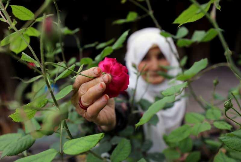 Bunica Ayșe, în vârstă de 83 de ani, care l-a învins pe Kovid-19, face gemuri cu parfum de trandafir!