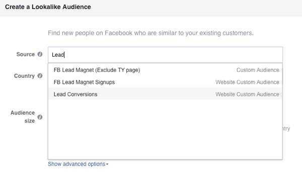 În câmpul Sursă, selectați publicul personalizat al site-ului dvs. pe Facebook.