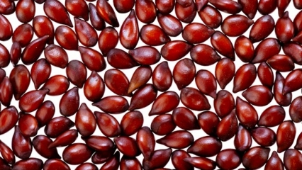 Care sunt avantajele semințelor de gutui pentru piele? Prepararea și beneficiul măștii de semințe de gutui 