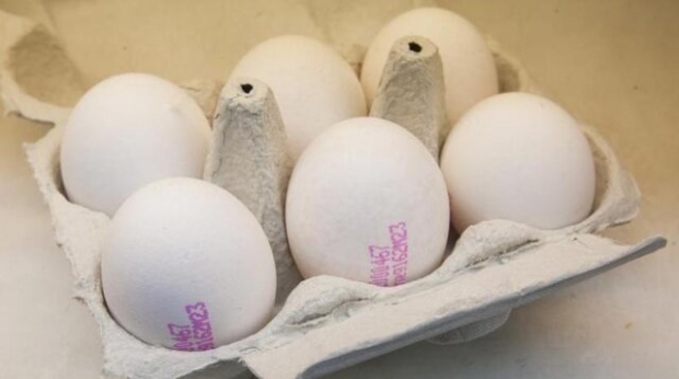 Cum se înțelege oul organic? Ce înseamnă codurile oului?