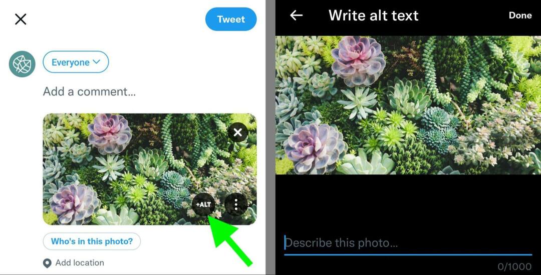 cum-să-optimizeze-imagini-social-media-căutare-twitter-alt-text-exemplu-24
