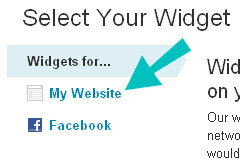 site web widget