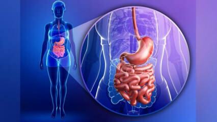 Ce este sindromul intestinal cu scurgeri? Care sunt simptomele sindromului Leaky Bowel?