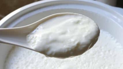 Care este modalitatea ușoară de a prepara iaurt? Făcând iaurt ca o piatră acasă! Beneficiul iaurtului de casă