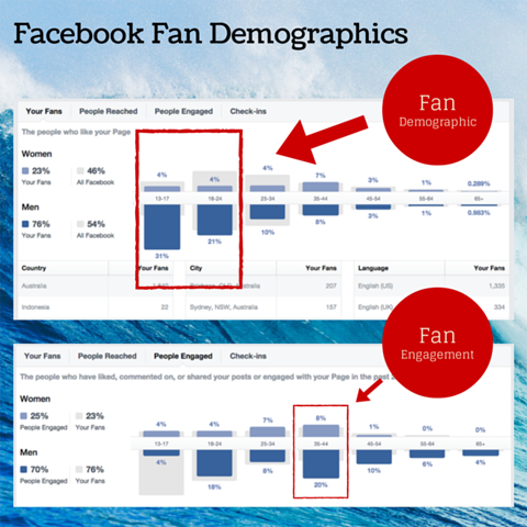 graficul demografic al fanilor de pe facebook
