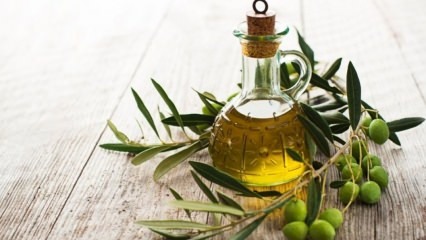 Cum se extrage acidul uleiului de măsline?