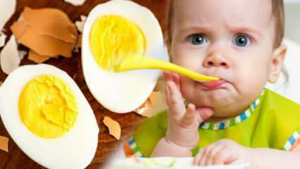 Cum trebuie administrate gălbenușurile de ou bebelușilor? Câte luni pentru a începe oul? Reteta de oua pentru bebelusi