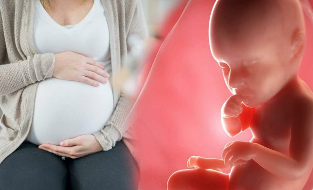 Cum obțin bebelușii nutrienți de la mamă în timpul sarcinii? Cum să hrănești copilul în pântece de la mamă