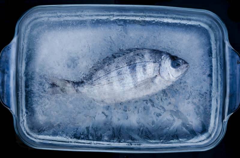 Câte zile ar trebui consumat peștele din congelator?