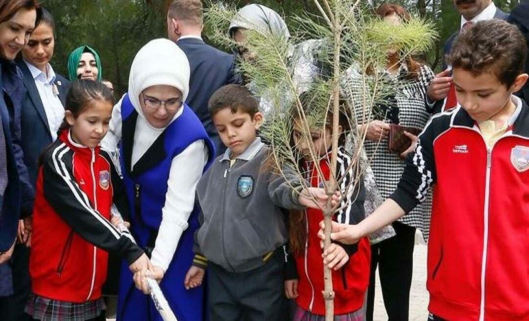 Post pentru Ziua Națională a Împăduririi de la Prima Doamnă Erdoğan