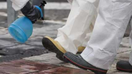 Cum se face curățarea integrală a pantofilor? Cum este dezinfectat fundul pantofului?