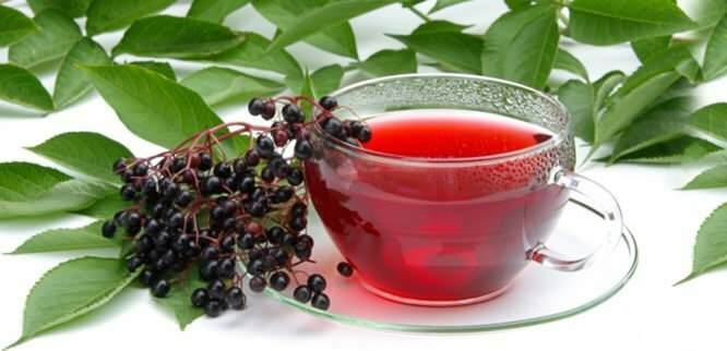 ceaiul de mămăligă oferă beneficii incredibile pentru sistemul imunitar