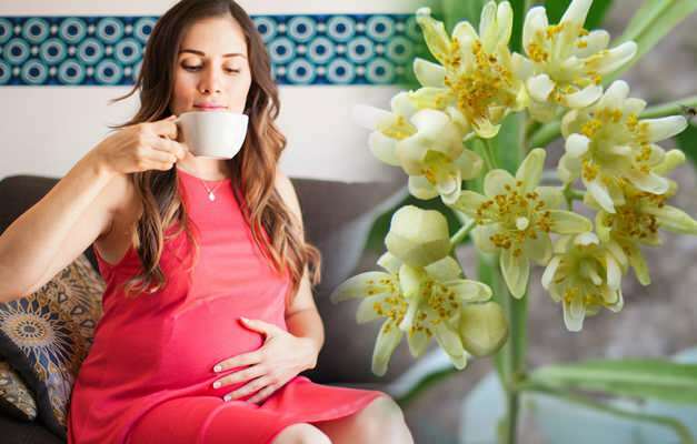 Sugestii de ceai din plante în timpul sarcinii de la Saraçoğl! Este dăunător pentru femeile însărcinate să bea ceai din plante?