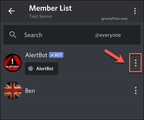 Accesarea listei de opțiuni pentru un membru al serverului Discord