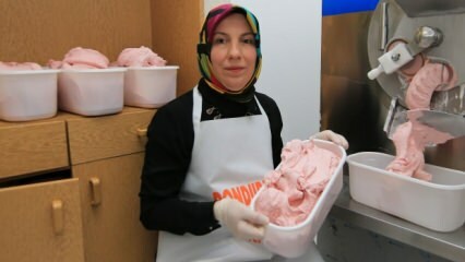 Deveniți producător de înghețată cu sprijinul KOSGEB