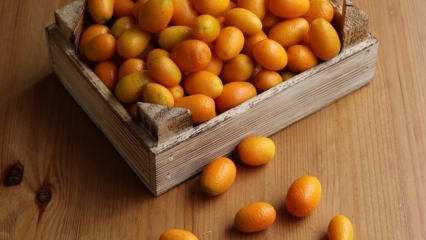 Care sunt avantajele Kumquat (Kumkat)? Pentru ce boli este bun kumquat? Cum se consumă kumquat?
