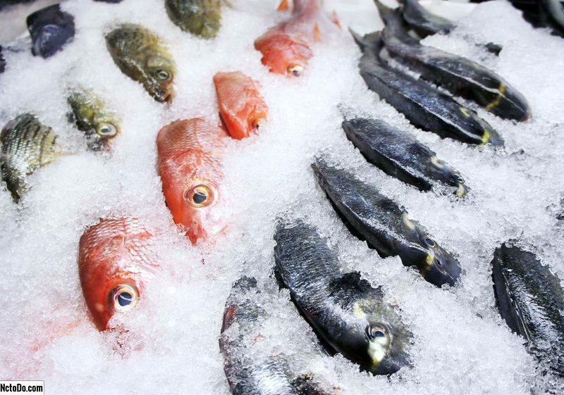 Cum se păstrează peștele la congelator