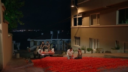Propunerea de căsătorie a lui Onur Tuna cu 100 de mii de frunze de trandafir!