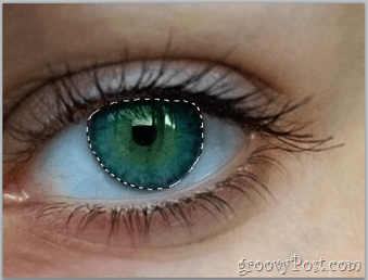 Noțiuni de bază Adobe Photoshop - strat de ochi selectat pentru ochi umani