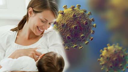 Trece coronavirusul din lapte în copil? Atenție la viitoarele mame în timpul procesului de pandemie! 