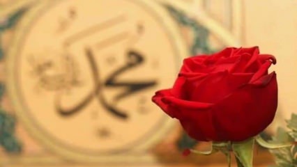 Cum îl putem aduce pe Salawat Profetului nostru? Cele mai frumoase șerife salawat pentru iubiți ...