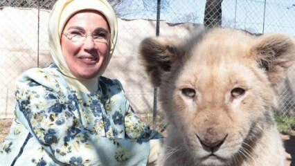 Prima Doamnă Erdoğan a făcut o fotografie cu leii pentru copii