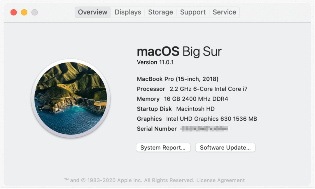 Exemplu de versiune Mac