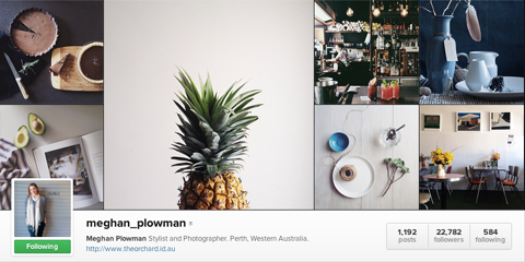 profil instagram meghan ploughman