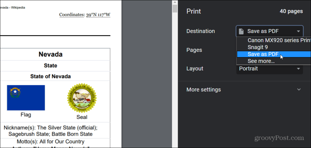 pagina web sub forma de format PDF Chrome