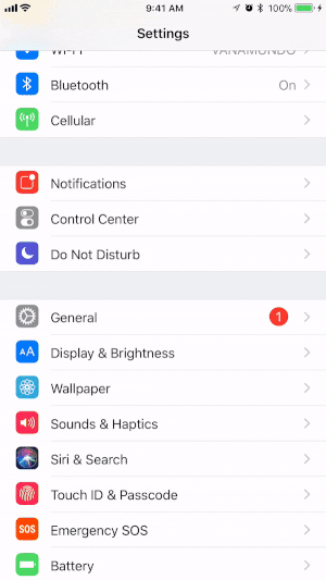 Adăugați funcția de înregistrare a ecranului la Centrul de control al dispozitivului dvs. iOS.