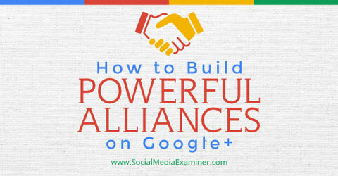 construirea de alianțe pe google +