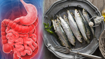 Care sunt simptomele care indică inflamația în organism? Alimentele care inflamează organismul ...