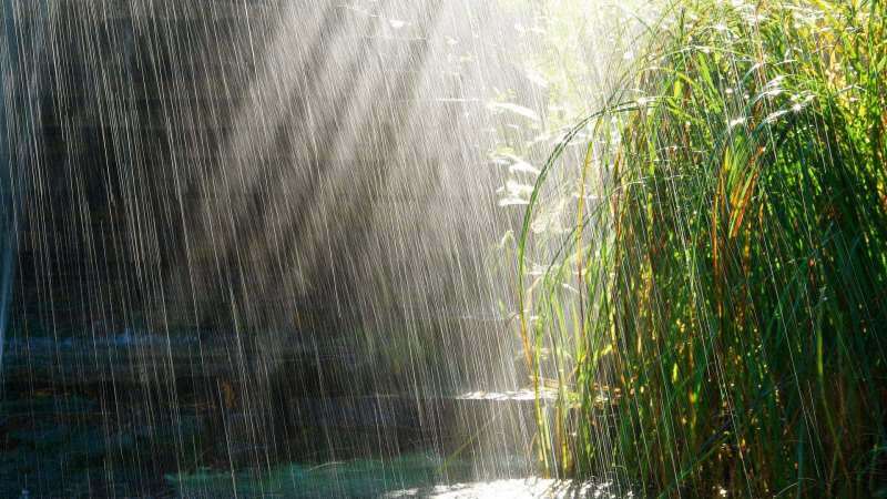 Rugăciuni de citit în apa de ploaie! Se vindecă ploaia din aprilie? Beneficiile ploii din aprilie